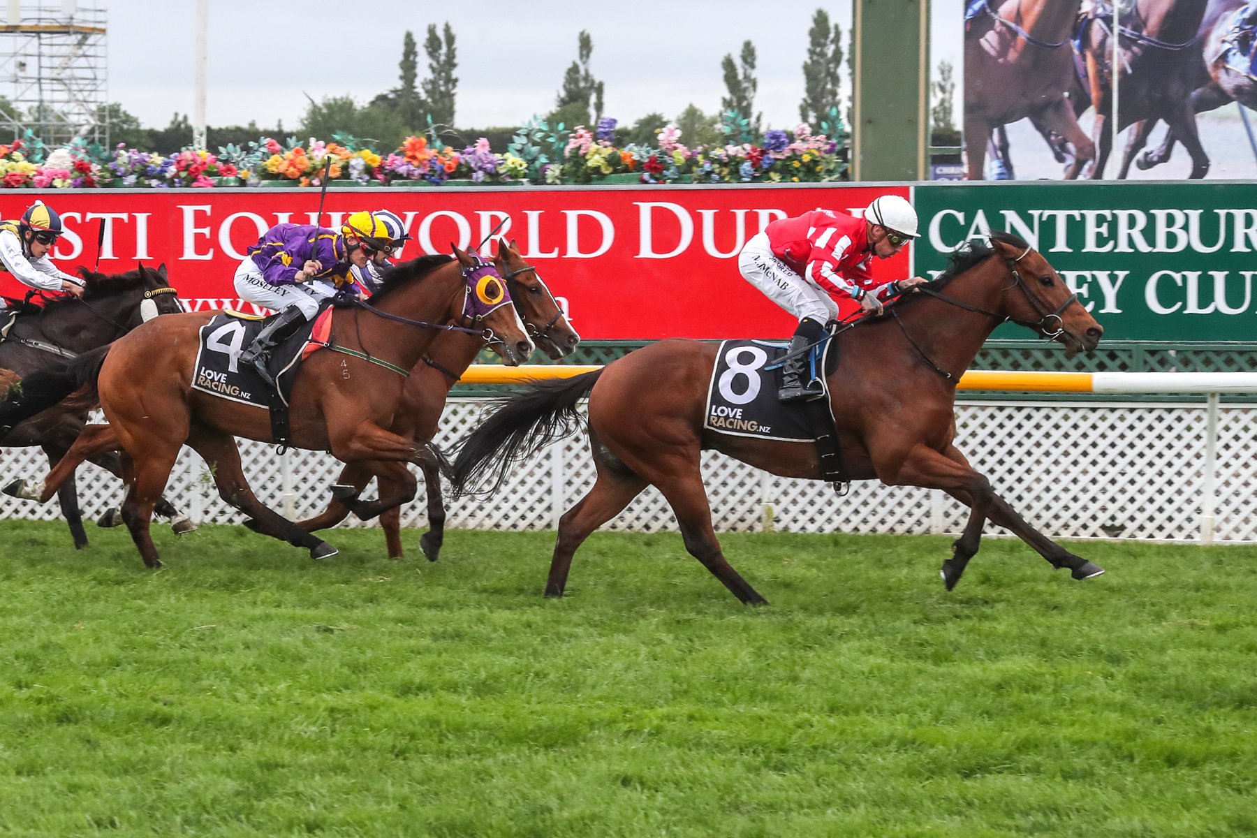Canterbury Jockey Club New Zealand Horse Racing